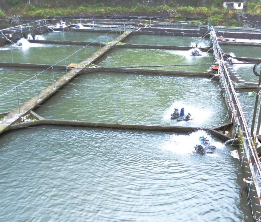 Multiple lined pond cells with aeration equipment